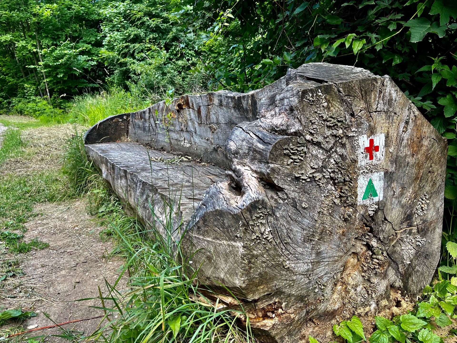 Akár itt is megpihenhetünk majd egy kicsit / Fotó: M.Regina