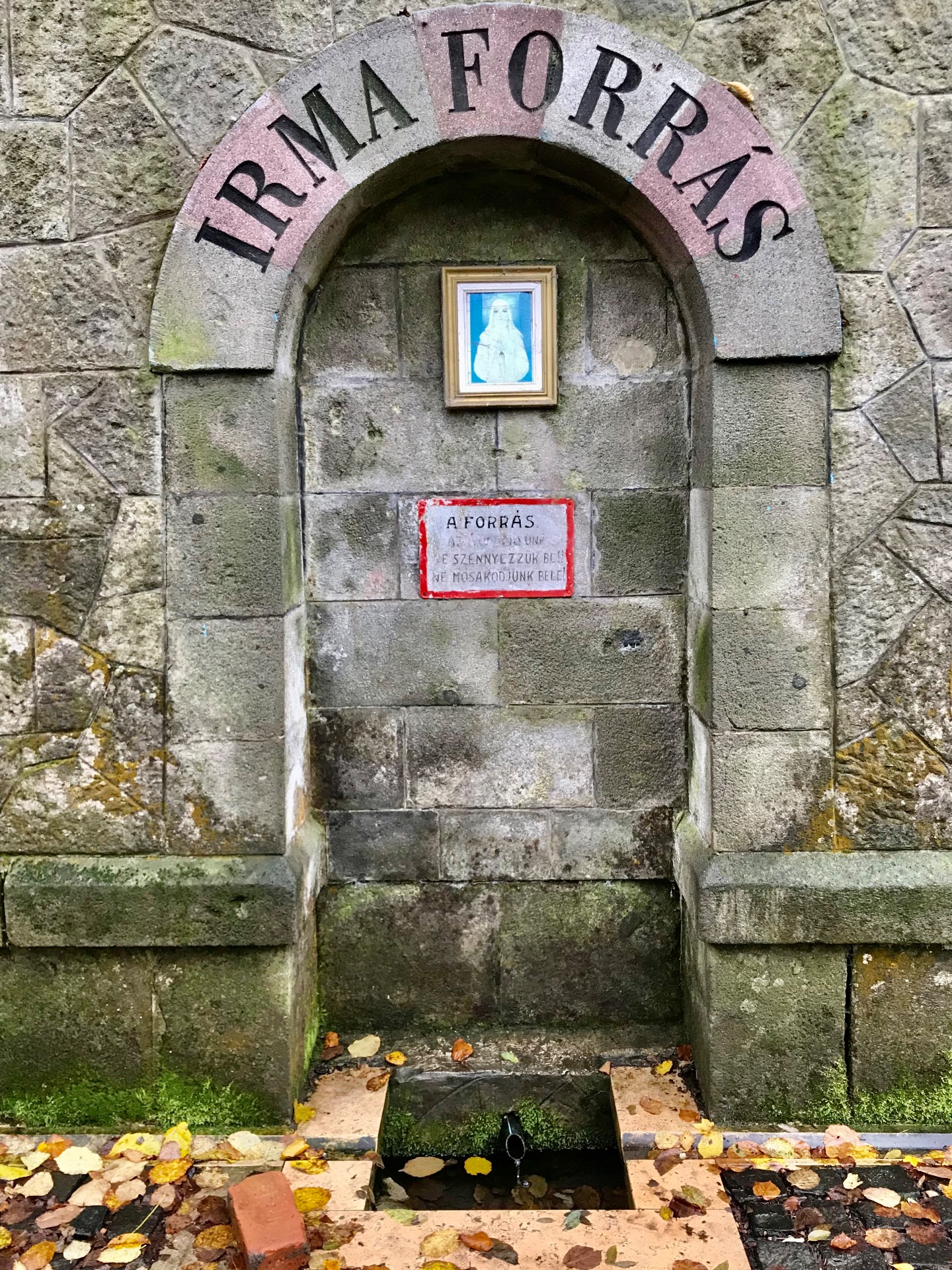 Irma-forrás, itt fogunk találkozni / Fotó: M.Regina