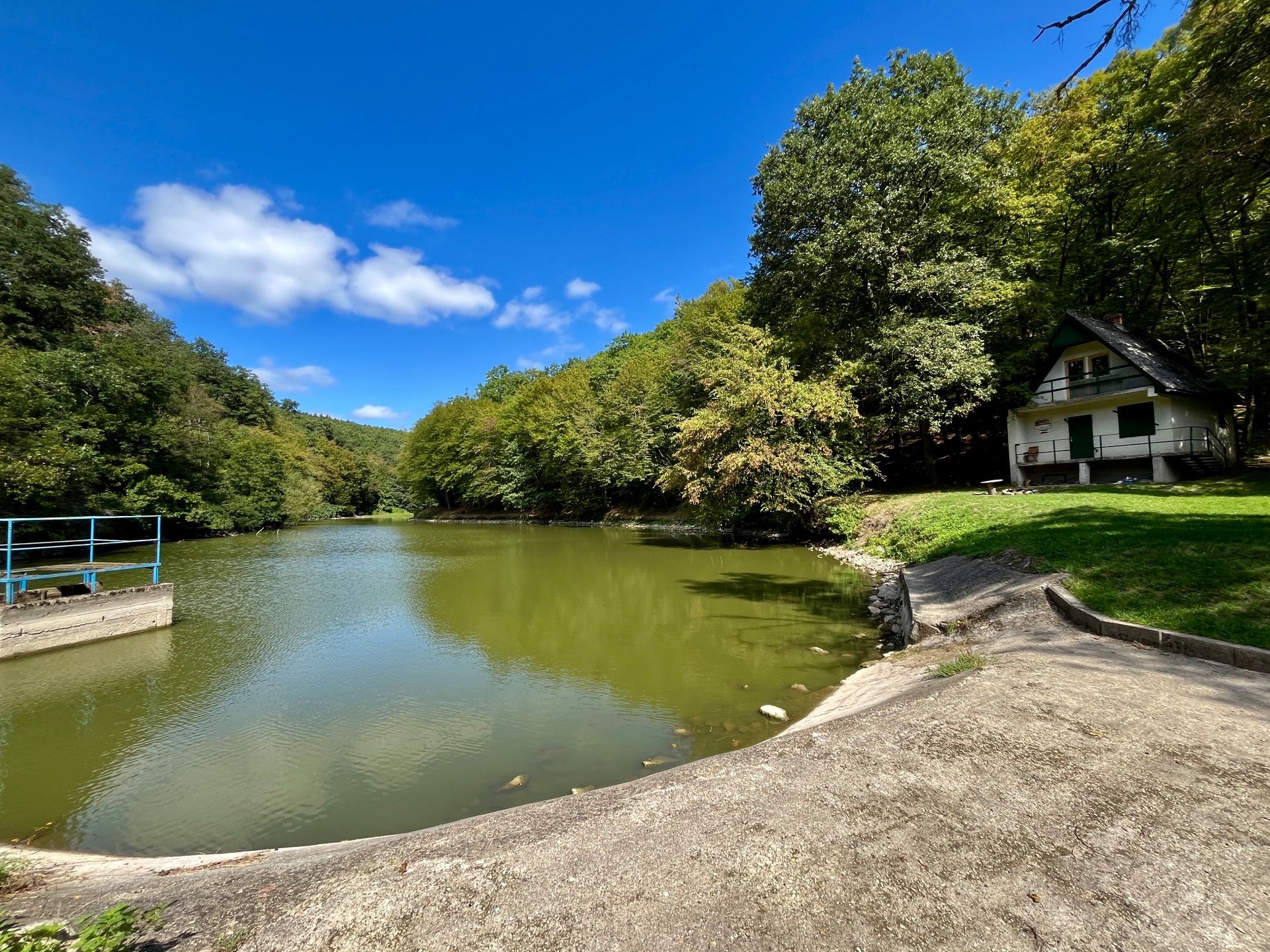 Törökmezői halastó / Fotó: M.Regina