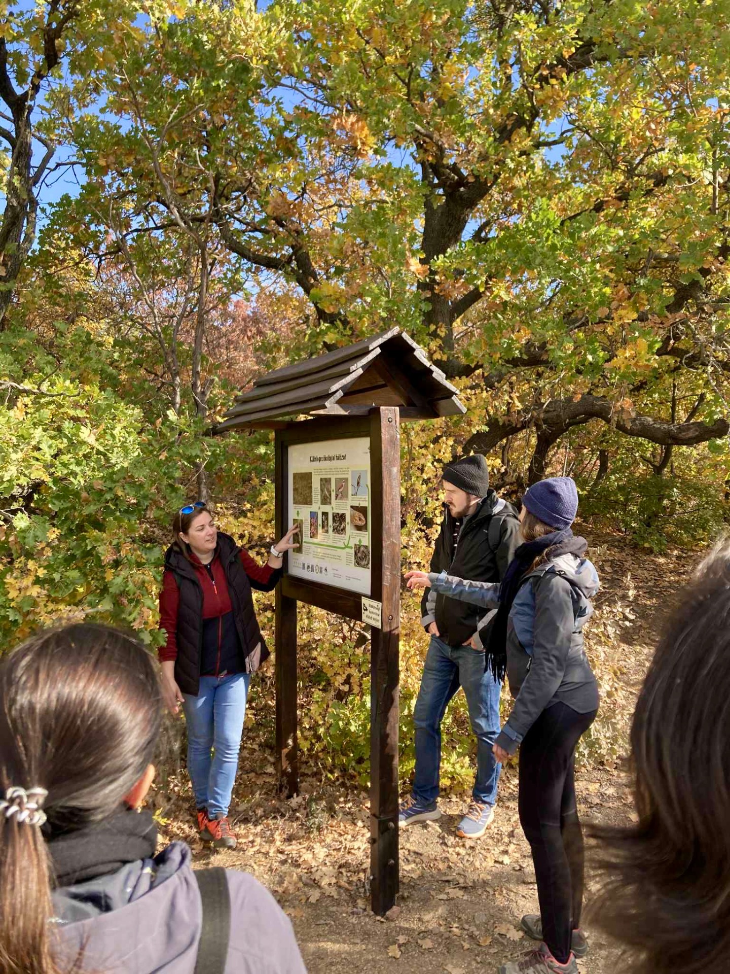 Mindenről is szó esik útközben / Fotó: T. Zsuzsi