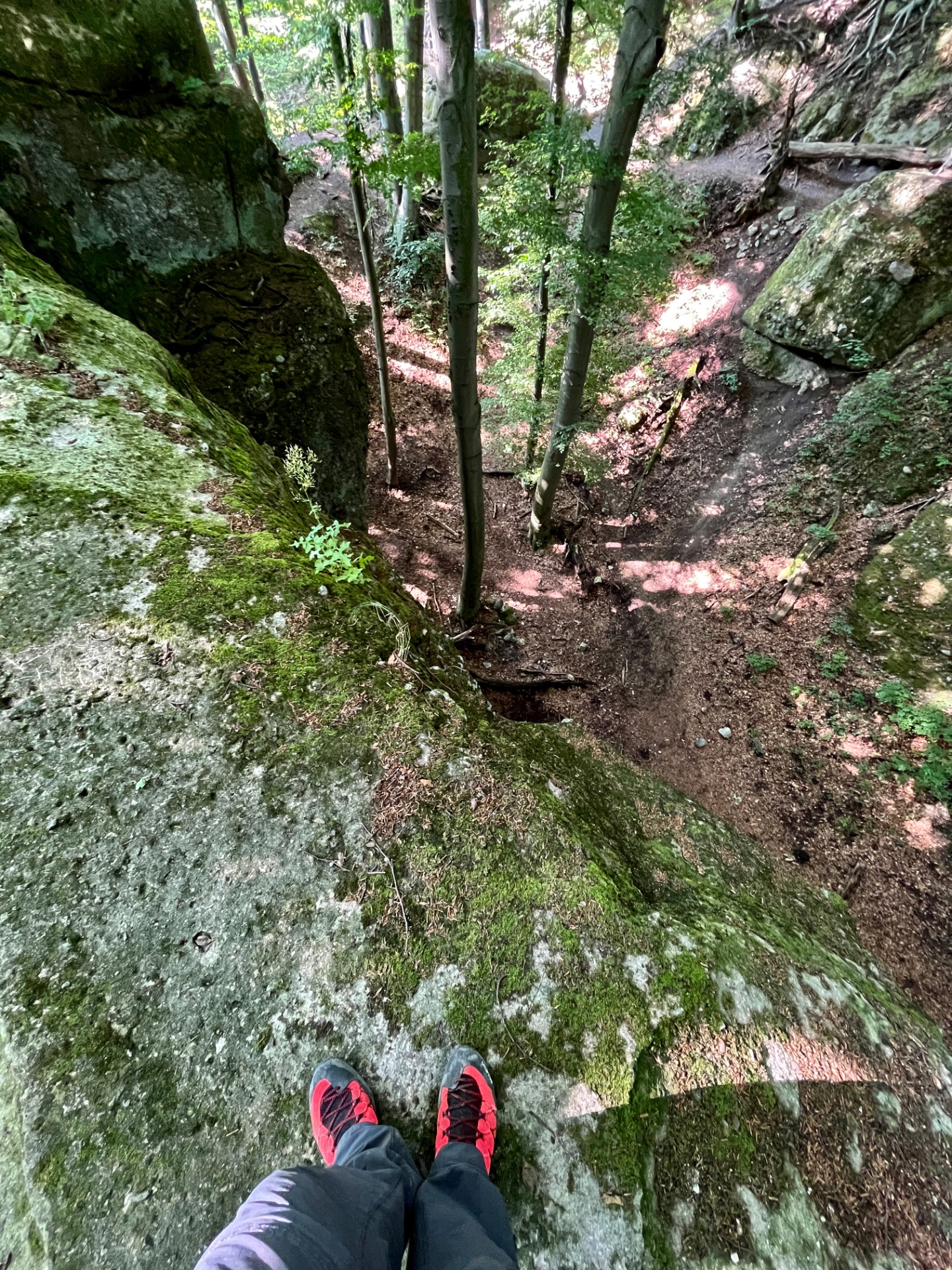 A Zsivány-sziklák tetejéről / Fotó: M.Regina